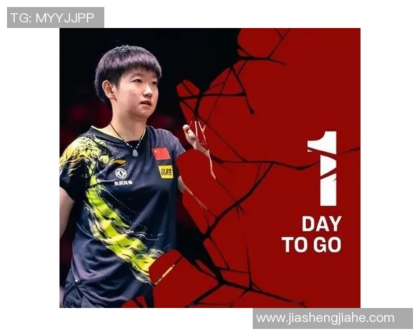 广州排球队以77分领跑大满贯积分榜展现强劲实力 广州排球队以77分领跑大满贯积分榜展现强劲实力