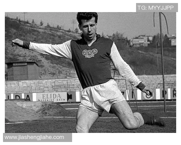 巴西足球明星颠马的传奇故事与辉煌成就揭秘